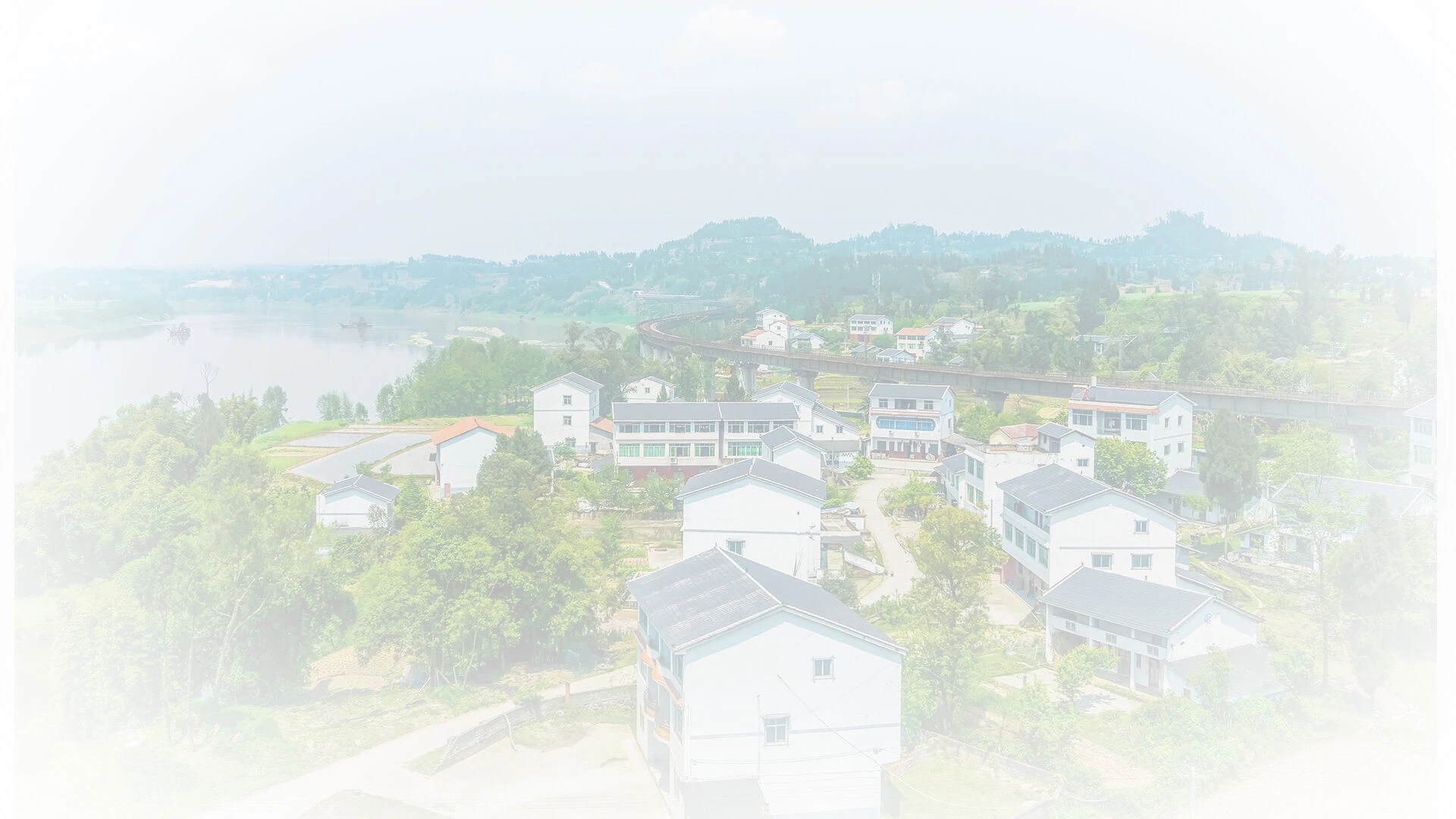 cv_bg2